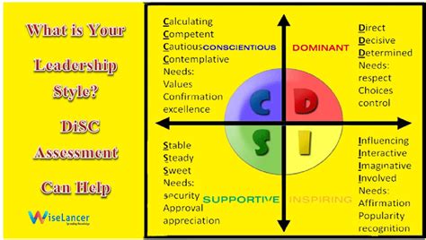 DISC Assessment & Example .